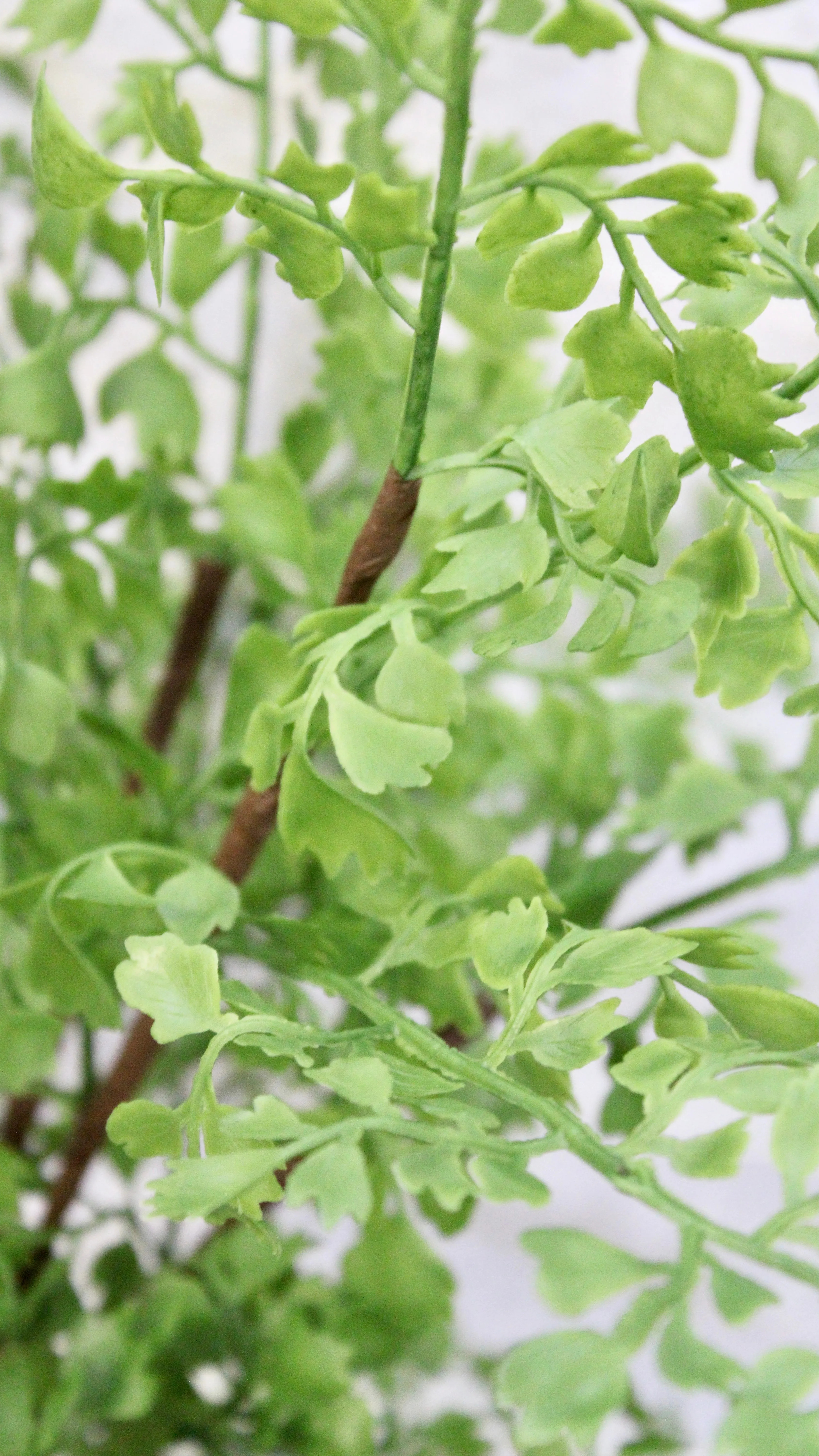 18.5” Maidenhair Fern Spray