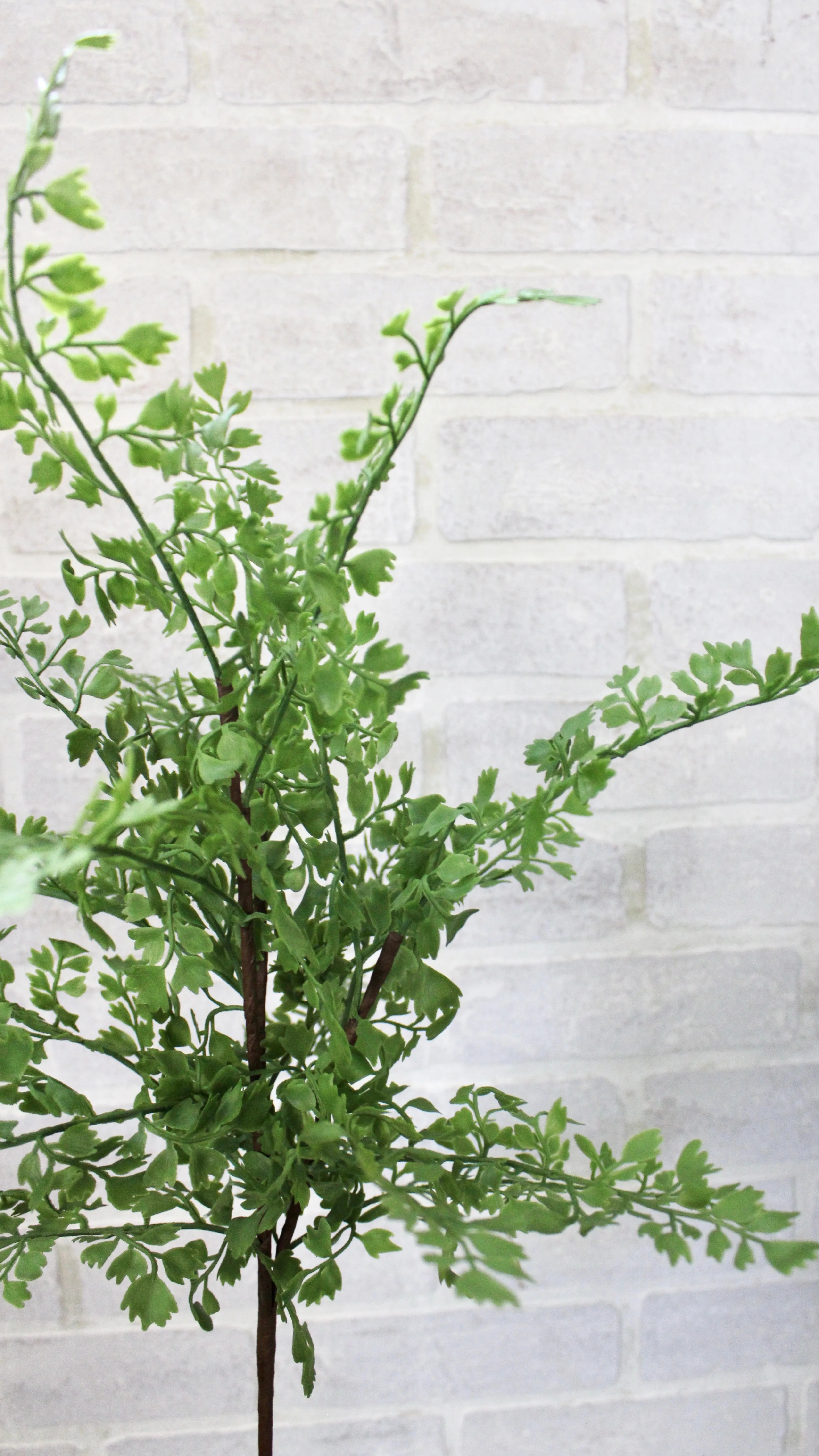 18.5” Maidenhair Fern Spray