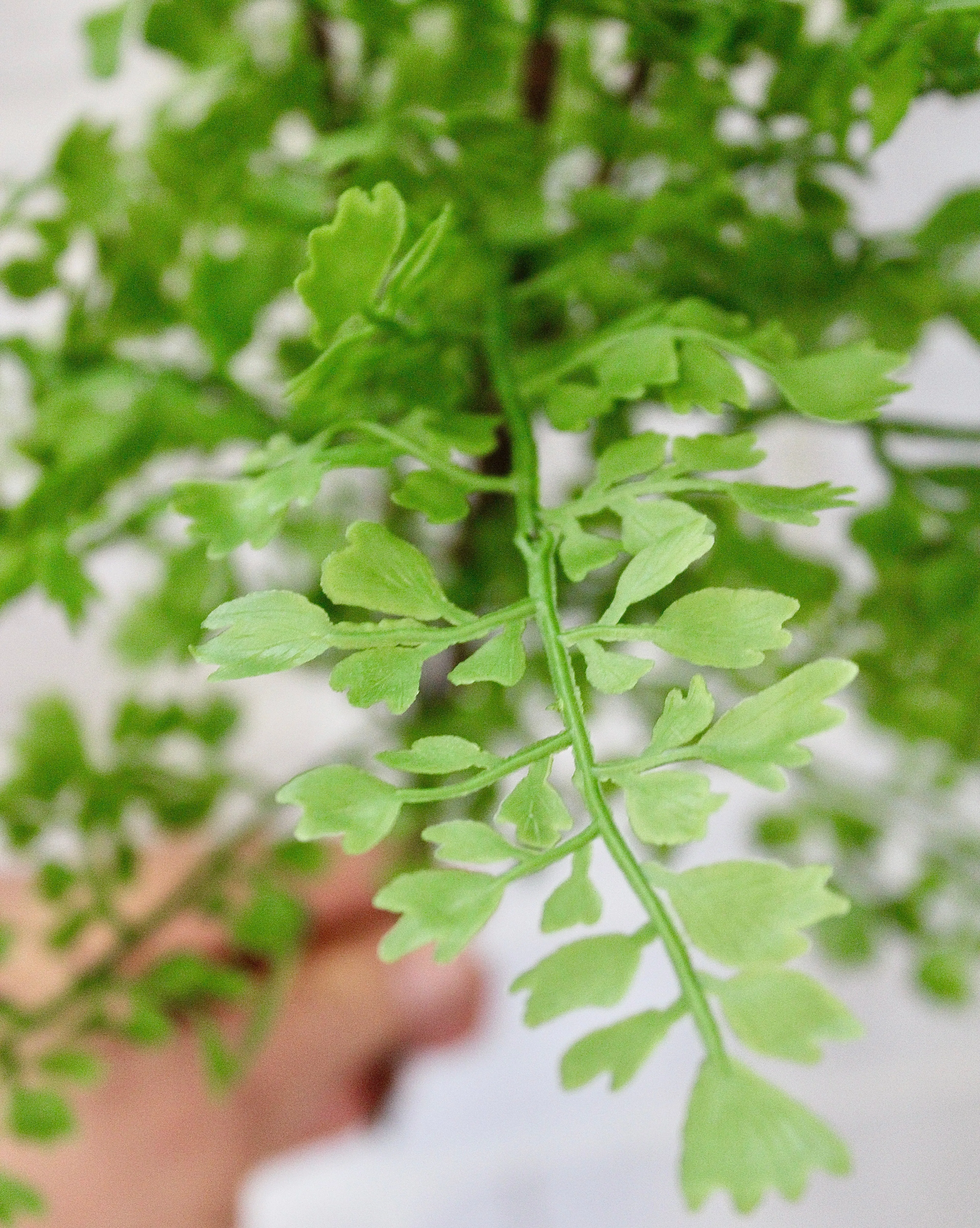 18.5” Maidenhair Fern Spray