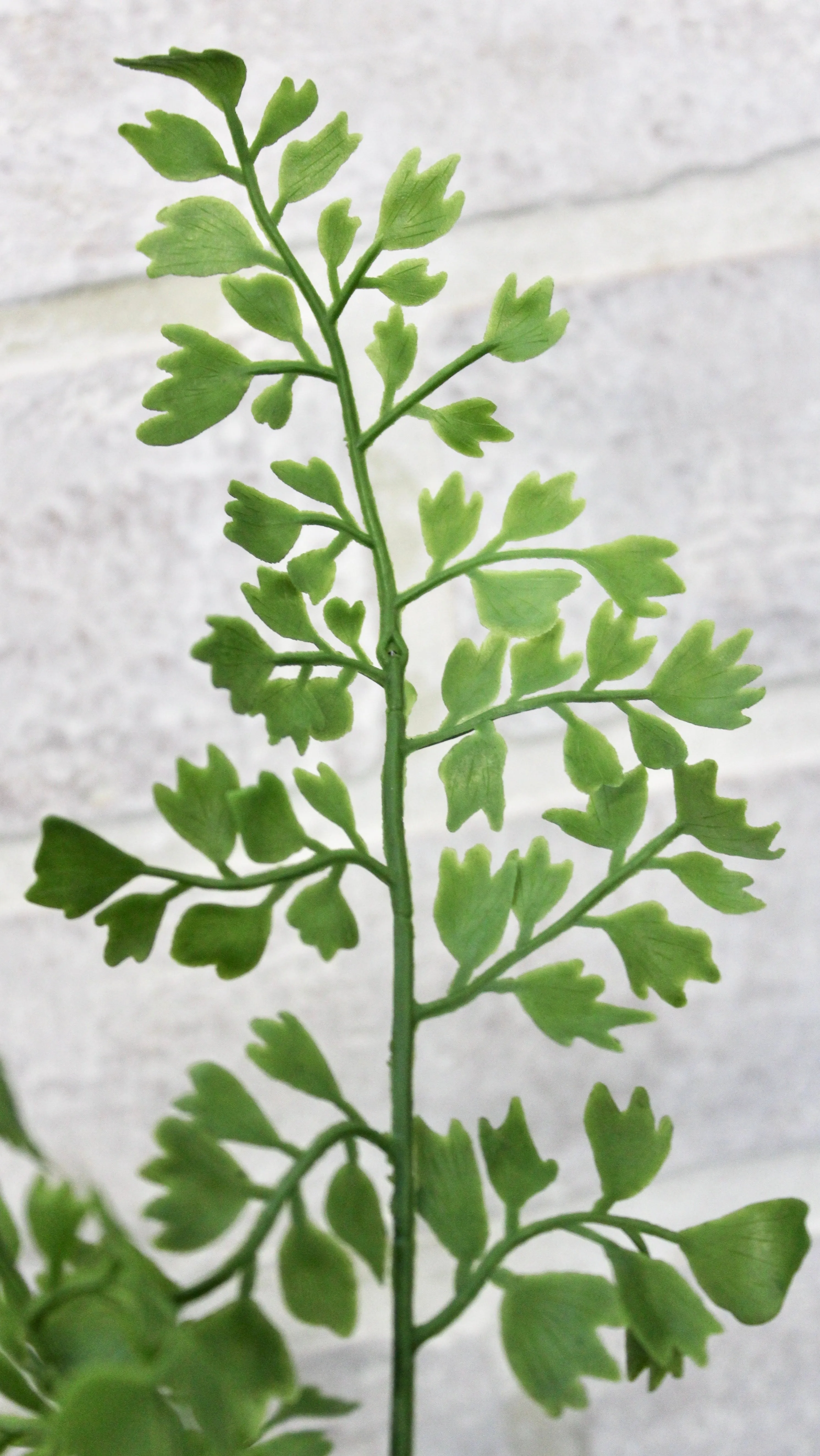 18.5” Maidenhair Fern Spray