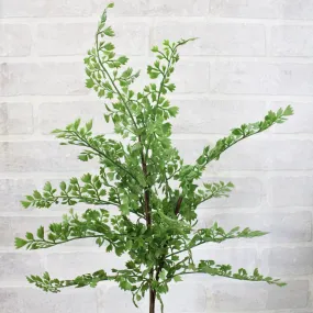 18.5” Maidenhair Fern Spray