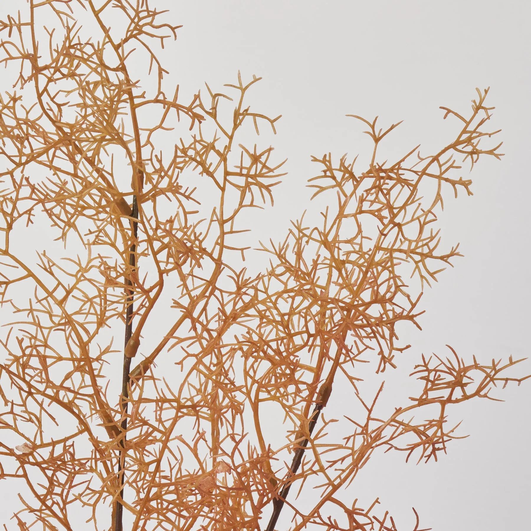 Orange Coral Fern Single Long Stem Everyday Faux Foliage Spray - 28"