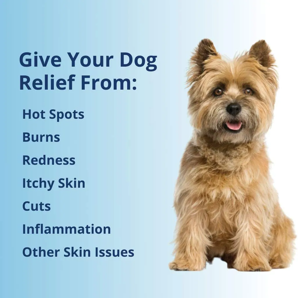 Under the Weather Antimicrobial Wound & Skin Care Spray for Dogs, 4-oz